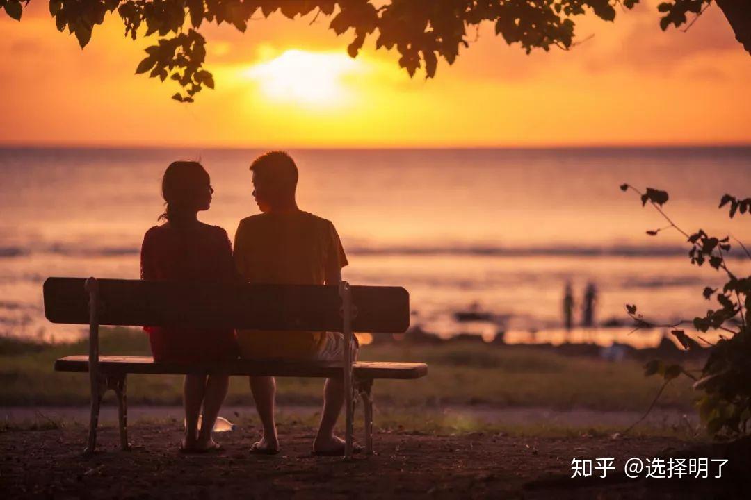 家载美好 海豹06DM