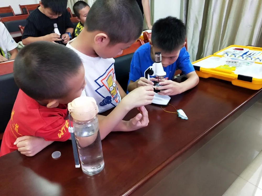 注意防范！预计8日台风“塔巴”将在珠海至湛江一带沿海登陆