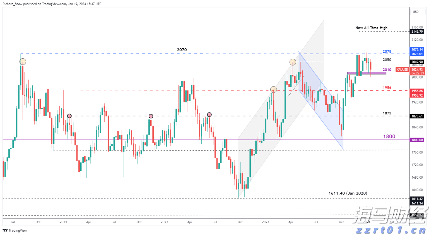 古樟树下，绘千年王者风范｜绿美广东岭南古树书画展采风活动走进韶关