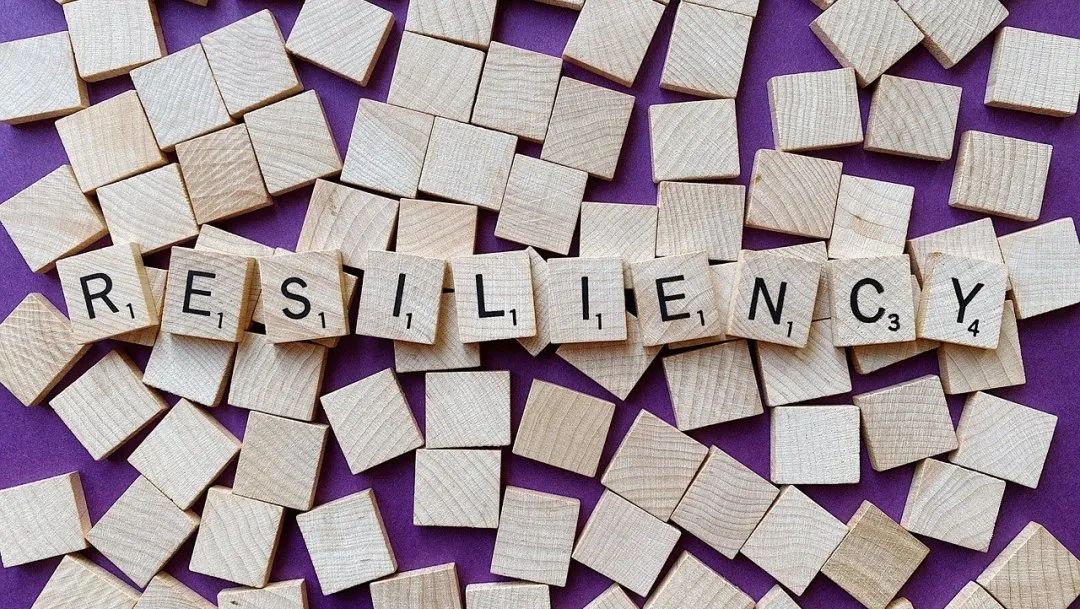 一图读懂!2023年南京市市场监管局消费者权益保护状况报告