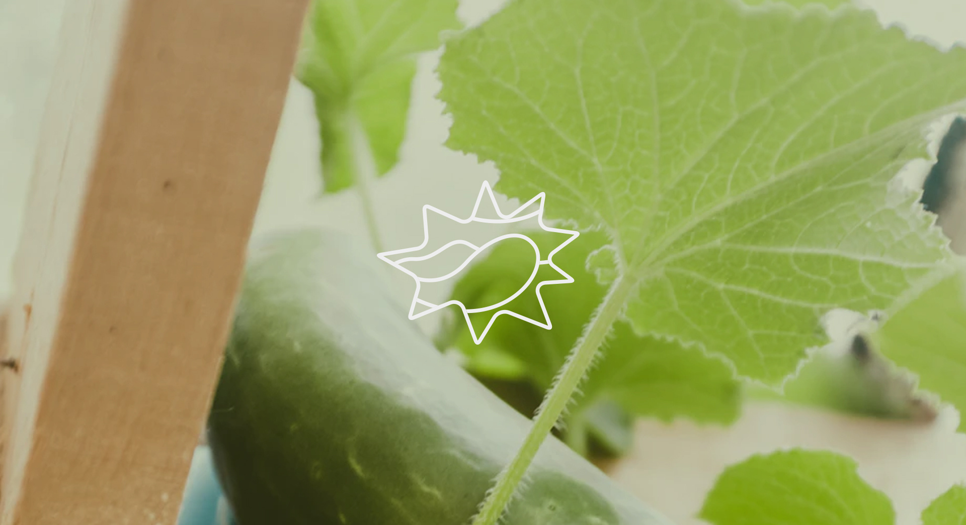 江苏省市场监管局召开全省市场监管系统网络交易监管工作电视电话会议