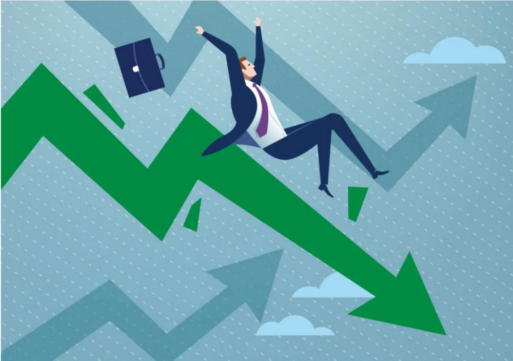 “鱼翅自由”的代价：多条大青鲨命丧黄泉，走私者终落网！