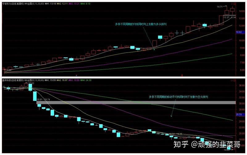 我市持续优化招投标领域营商环境
