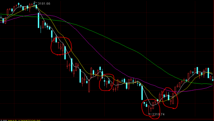 我市2个项目在2025中国产业转移发展对接活动（广西）开幕式现场签约