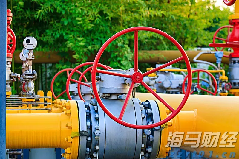 湖北坚决防范和查处假冒企业登记违法行为