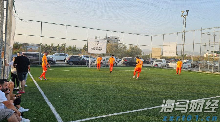 日本股市回升之际,外资结束17周买入潮 日本保险公司大幅减持