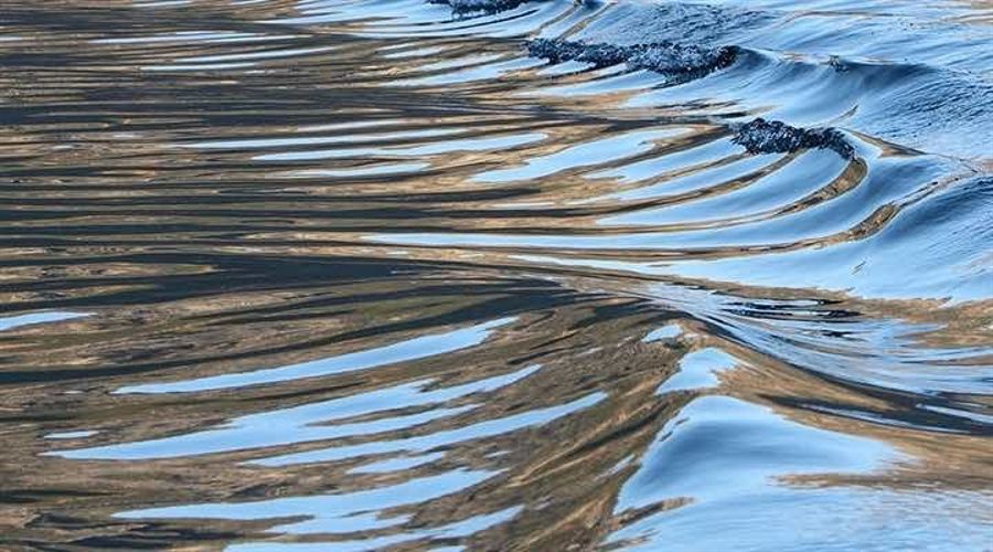 浙江开展“年夜饭”食品安全专项检查