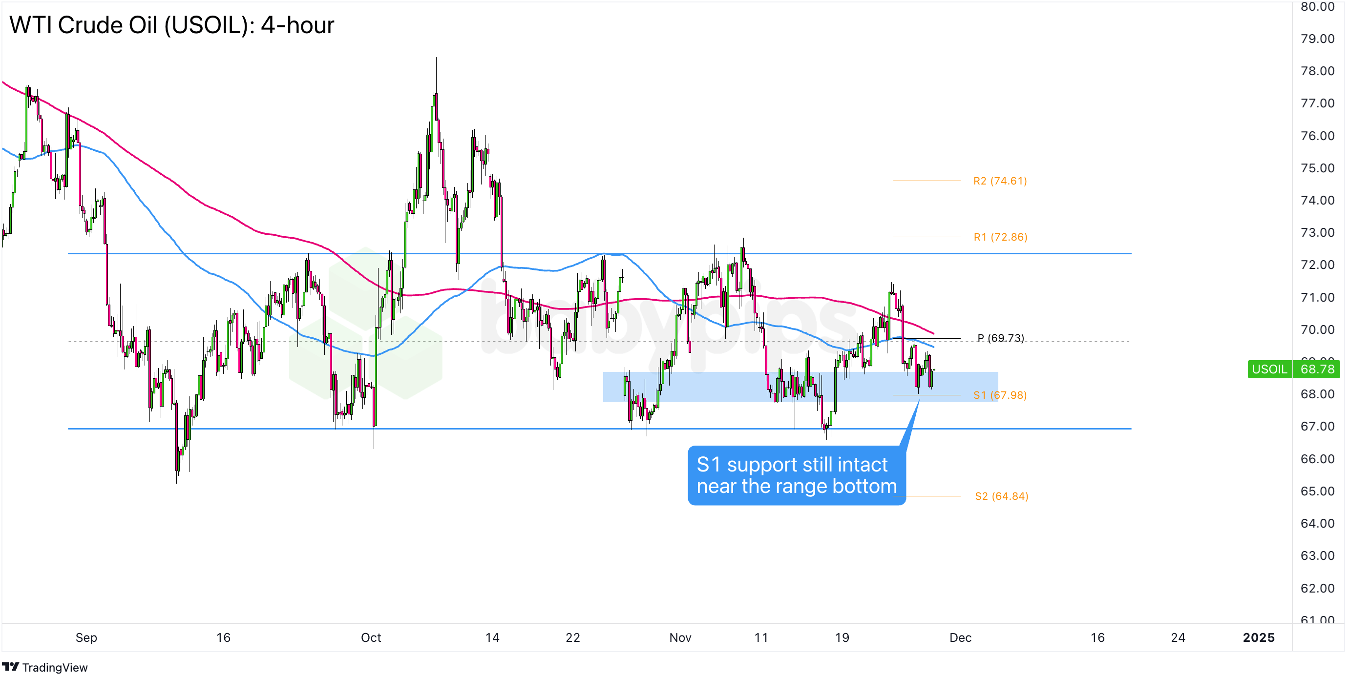 港珠澳大桥穿梭巴士恢复营运
