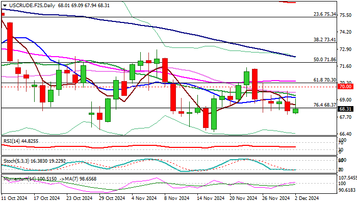 扎根乡土，广财学子以数智赋能“网络强村”建设